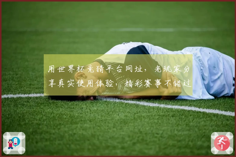 用世界杯竞猜平台网址，老玩家分享真实使用体验，精彩赛事不错过