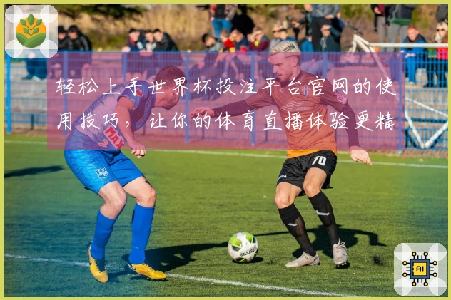 轻松上手世界杯投注平台官网的使用技巧，让你的体育直播体验更精彩