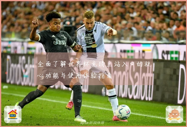 全面了解世界杯竞猜主站入口的核心功能与使用体验指南