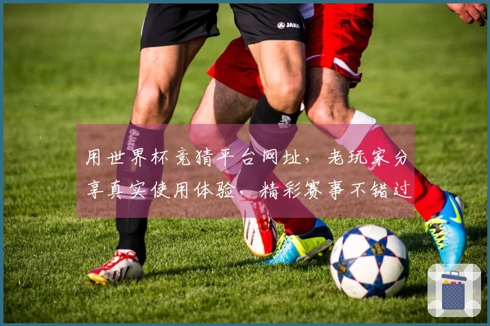 用世界杯竞猜平台网址，老玩家分享真实使用体验，精彩赛事不错过