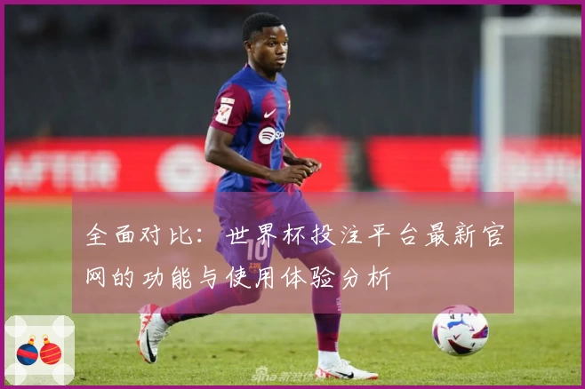 全面对比：世界杯投注平台最新官网的功能与使用体验分析