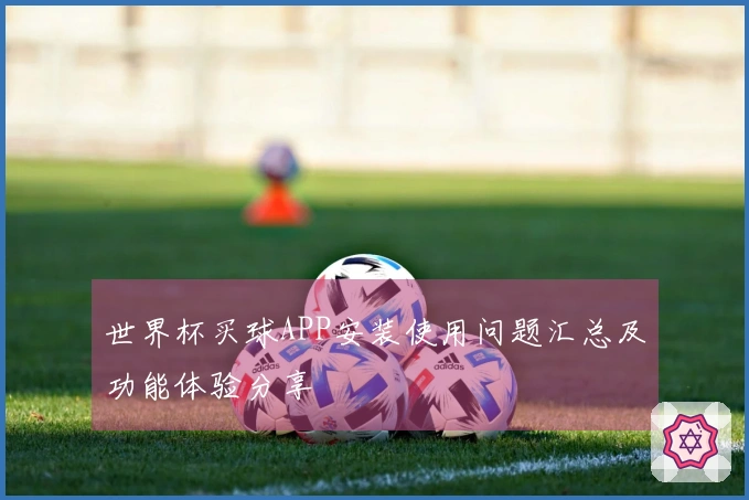 世界杯买球APP安装使用问题汇总及功能体验分享