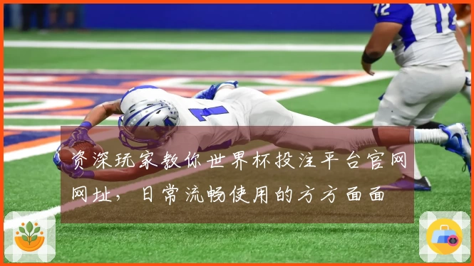 资深玩家教你世界杯投注平台官网网址，日常流畅使用的方方面面