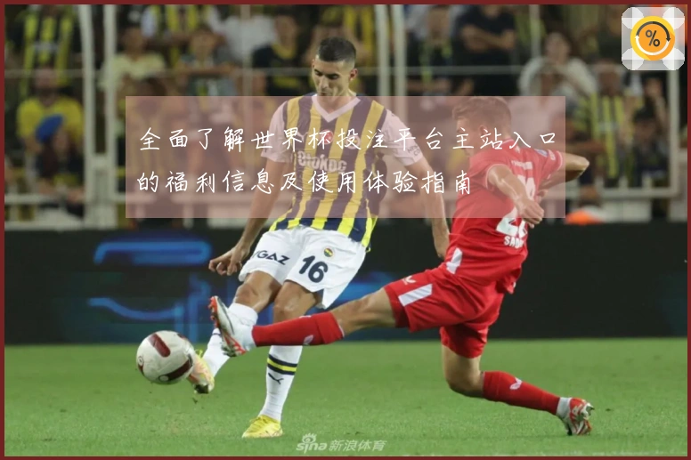 全面了解世界杯投注平台主站入口的福利信息及使用体验指南