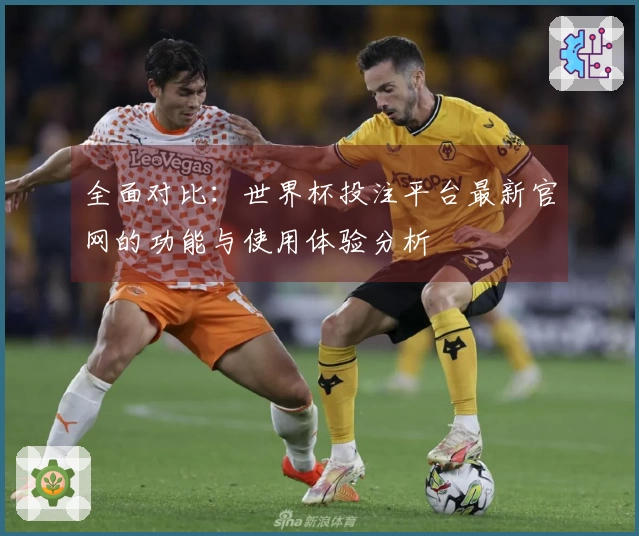 全面对比：世界杯投注平台最新官网的功能与使用体验分析