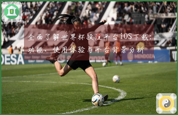 全面了解世界杯投注平台iOS下载：功能、使用体验与平台背景分析