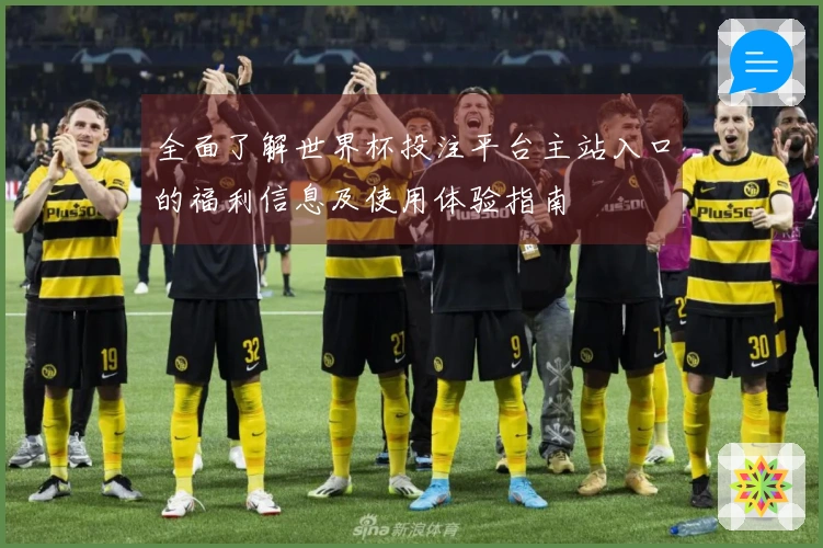 全面了解世界杯投注平台主站入口的福利信息及使用体验指南