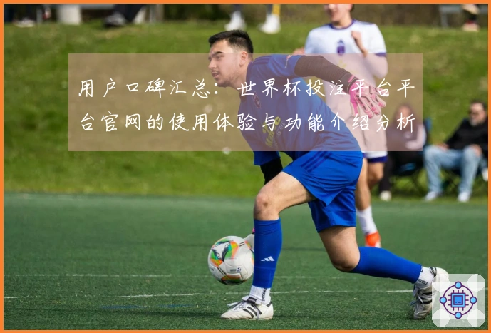 用户口碑汇总：世界杯投注平台平台官网的使用体验与功能介绍分析
