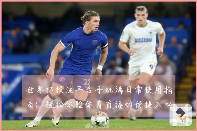 世界杯投注平台手机端日常使用指南：轻松体验体育直播的便捷入口与功能介绍