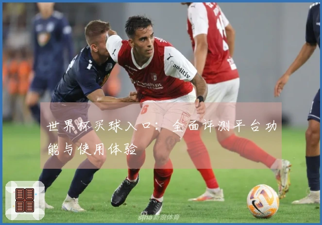世界杯买球入口：全面评测平台功能与使用体验