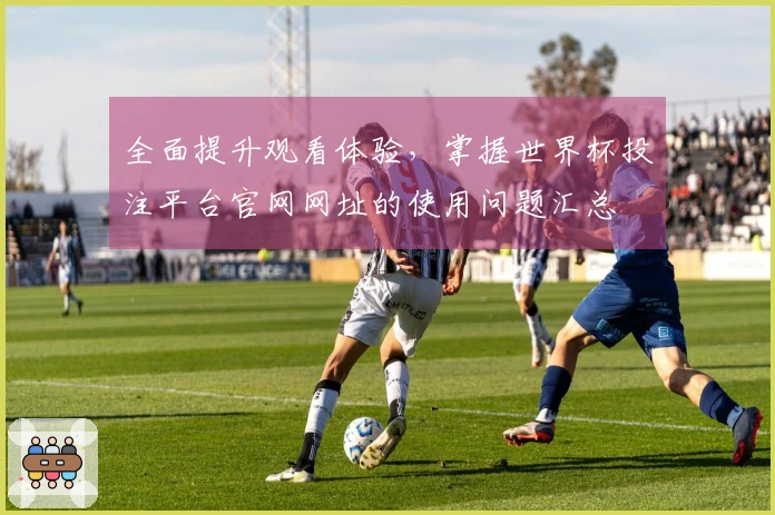 全面提升观看体验，掌握世界杯投注平台官网网址的使用问题汇总